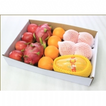 水果礼箱—绿园鲜果B1