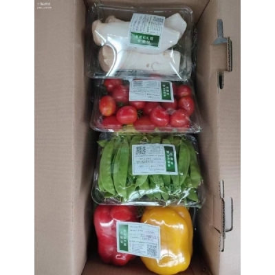 节日特惠精品蔬菜礼盒