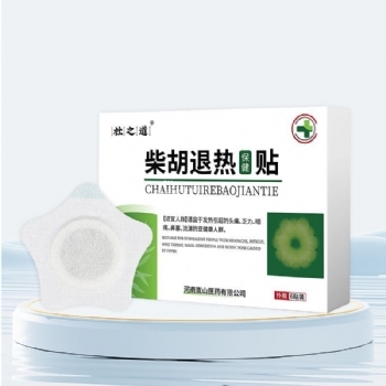 杜之道柴胡草本退热保健贴成人儿童厂家退热贴批发现货宝宝退烧贴