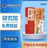 透甲龙厂家直销益肾保健贴(非肾亏体虚锁阳贴尿急频)蜂蜜贴膏药贴
