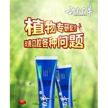 冷酸灵牙膏 抗过敏牙膏 140g支/72支 130克冷酸灵