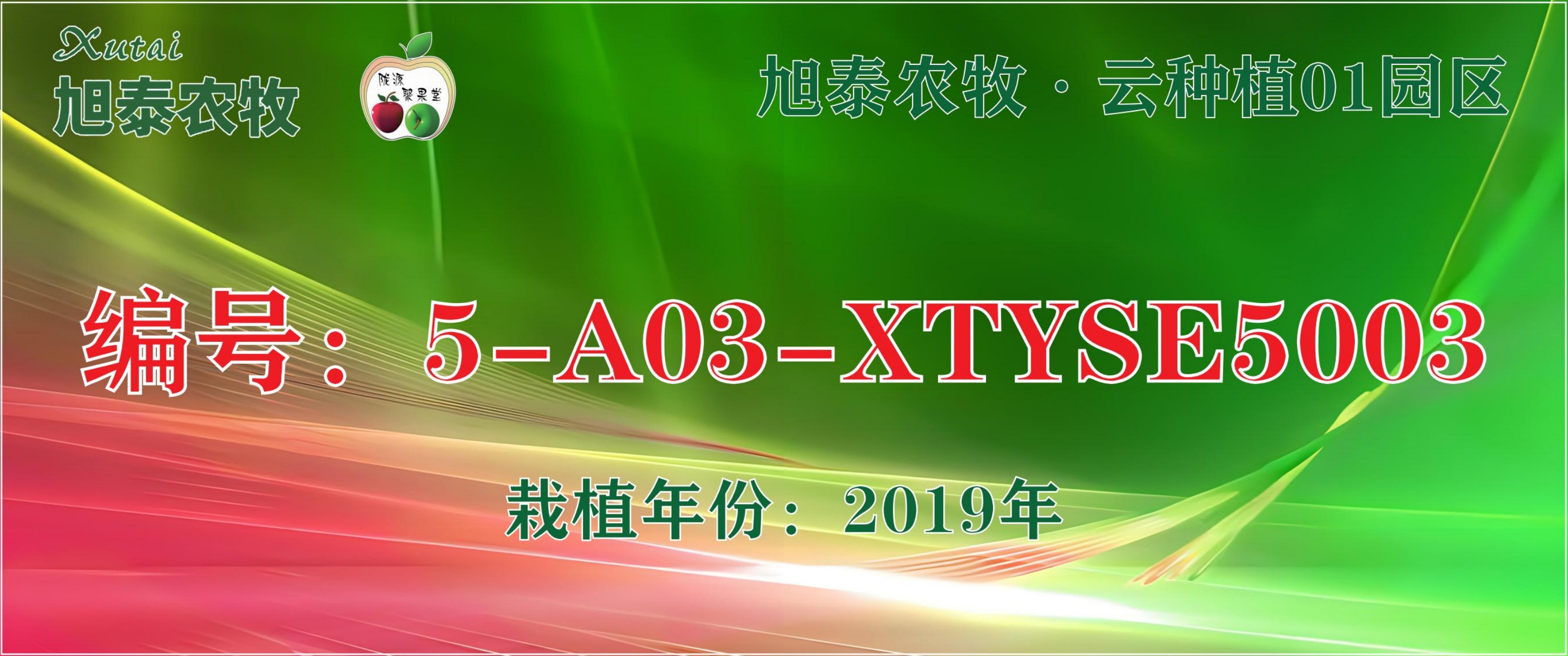 旭泰云种植5-A03 XTYSE5003