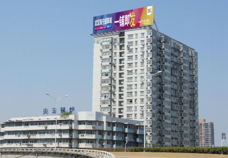 武汉 武昌鹦鹉洲大桥引桥白鳍豚大厦楼顶 喷绘外打 编号：FRZJ-012 