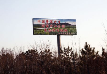 山西高速媒体大同机场路（南环东路） 跨线桥  编号：JJM-SXGS-007