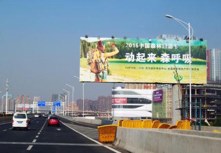 武汉 汉阳龙阳大道海宁皮革城正对面 单立柱 编号：DOV-SZ-071