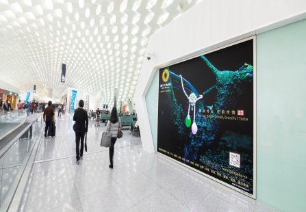 广东深圳市机场媒体深圳机场三层候机区指廊灯箱编号：YSW-SZ-AP2-F3DD-LW02