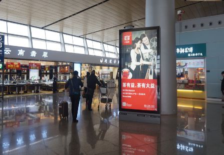 昆明机场 F03层国内出发中央指廊分岔口 灯箱 编号:YSW-KMCS-AP-CDL11