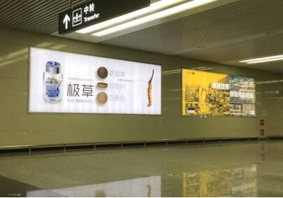 河北石家庄市机场媒体 机场一楼到达手推车处 灯箱  编号：GCCM-STC-03