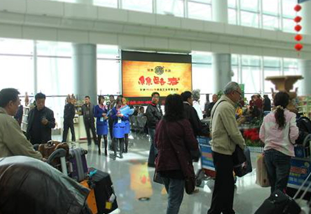 嘉峪关 国内出发换票大厅 全彩LED显示屏 DFYF-JYG-001