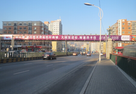 黑龙江哈尔滨市交通路网媒体哈尔滨安发桥与抚顺街交汇处跨线桥编号：RWGG-HEB-009