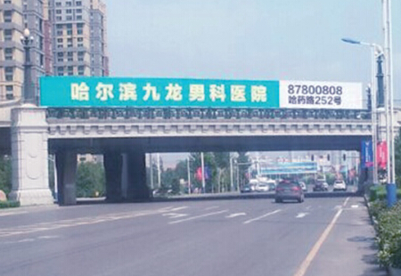 黑龙江哈尔滨市交通路网媒体利民大道利民开发区跨线桥编号：LTGG-HEB-0065