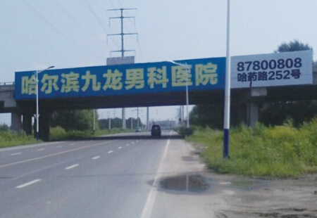 黑龙江哈尔滨市交通路网媒体万宝大道松北凯利城跨线桥编号：LTGG-HEB-0066