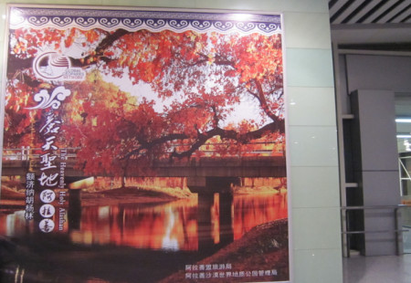 宁夏银川市机场媒体出发隔离厅灯箱编号：XBJC-YC-004