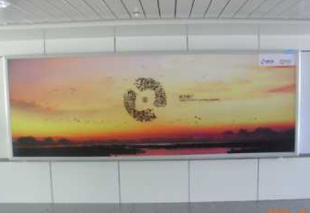 宁夏银川市机场媒体到达通道灯箱编号：GCCM-YC-017