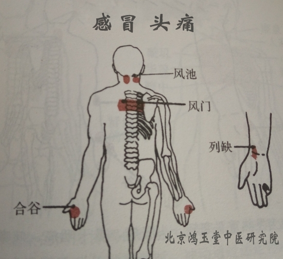 鸿玉堂六合针灸，皮下针，抖针技术