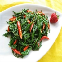 茶香苗 海参苗  盐篙菜 龙麦菜