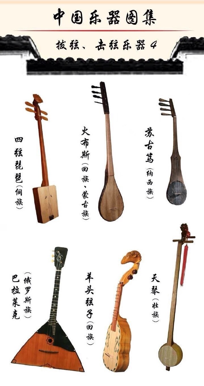 中国传统 弦类乐器图鉴
