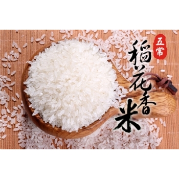正宗五常稻花香米 新米10斤装 自产自销10 黑龙江五常