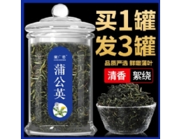 蒲公英茶野生天然正品特级茶叶