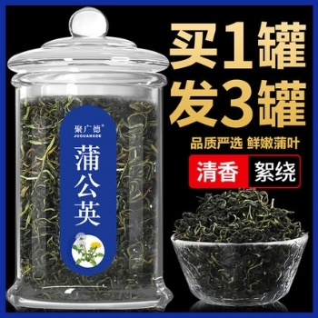 蒲公英茶野生天然正品特级茶叶