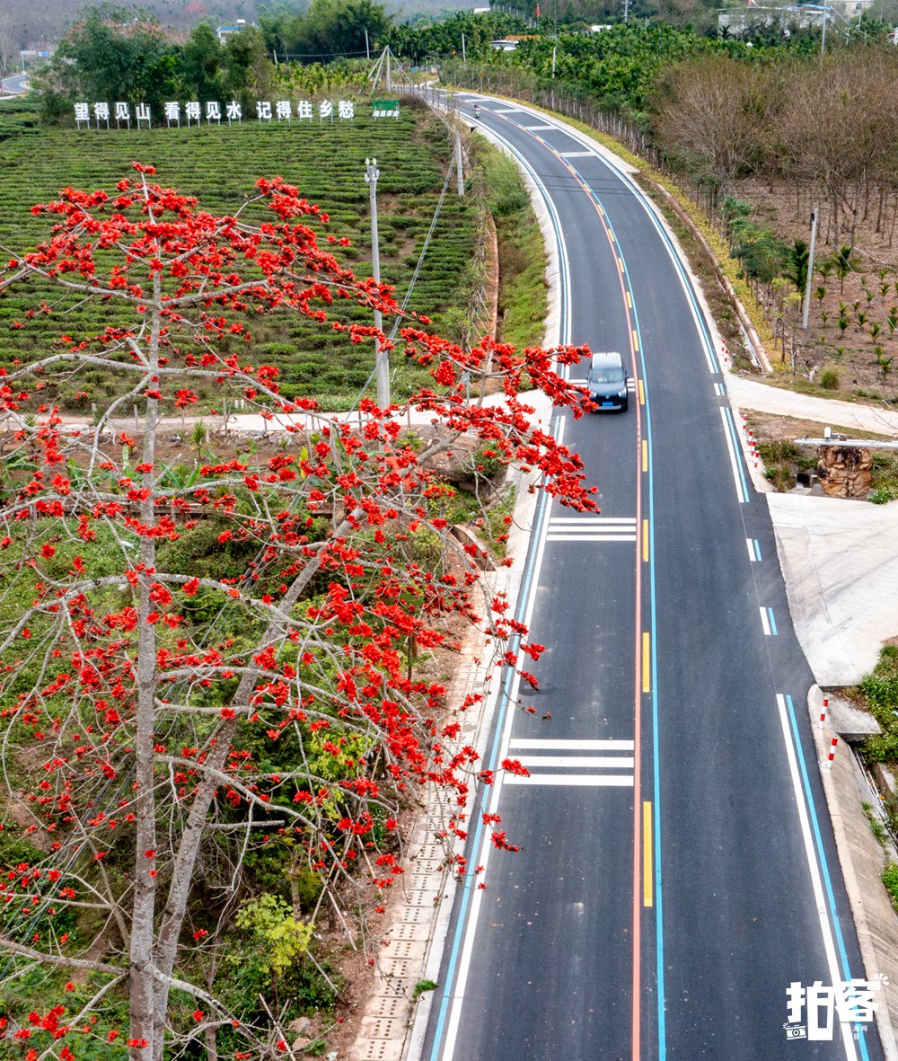 科技筑路·赋能山海｜撰云空间硬核助力海南旅游公路建设，高效完成征地测量关键任务