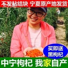 新货农家特产宁夏枸杞苟杞子正宗中宁红枸杞特级免洗特价枸枸500g