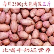 大粒花生果仁花生散装5斤31
