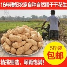 南阳农家 带壳干花生5斤16年新货32.8