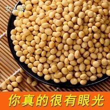 农家自产笨黄豆 非转基因大豆5斤19.5