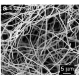 Carbon nanotube
