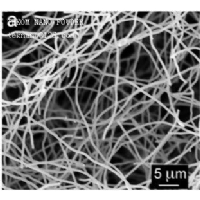Carbon nanotube