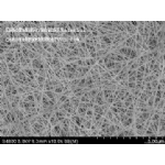 silver 50nm
