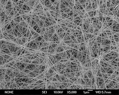 silver 450nm