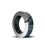 Graphite Ring