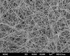 Silver Nanowire 450nm