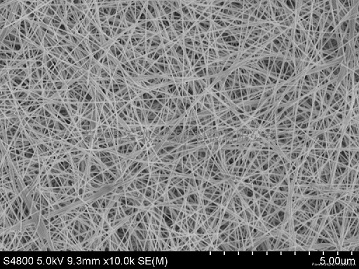Silver Nanowire 200nm