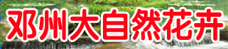 大自然花卉