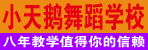 邓州市小天鹅舞蹈学校