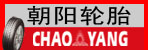 朝阳轮胎邓州总经销
