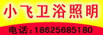 邓州小飞灯饰照明