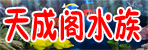 邓州天成阁水族