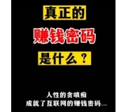 赚钱密码进群领书