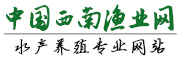 中國西南漁業網 中國西南漁業網