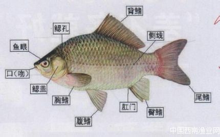 大阳城集团娱乐app网址