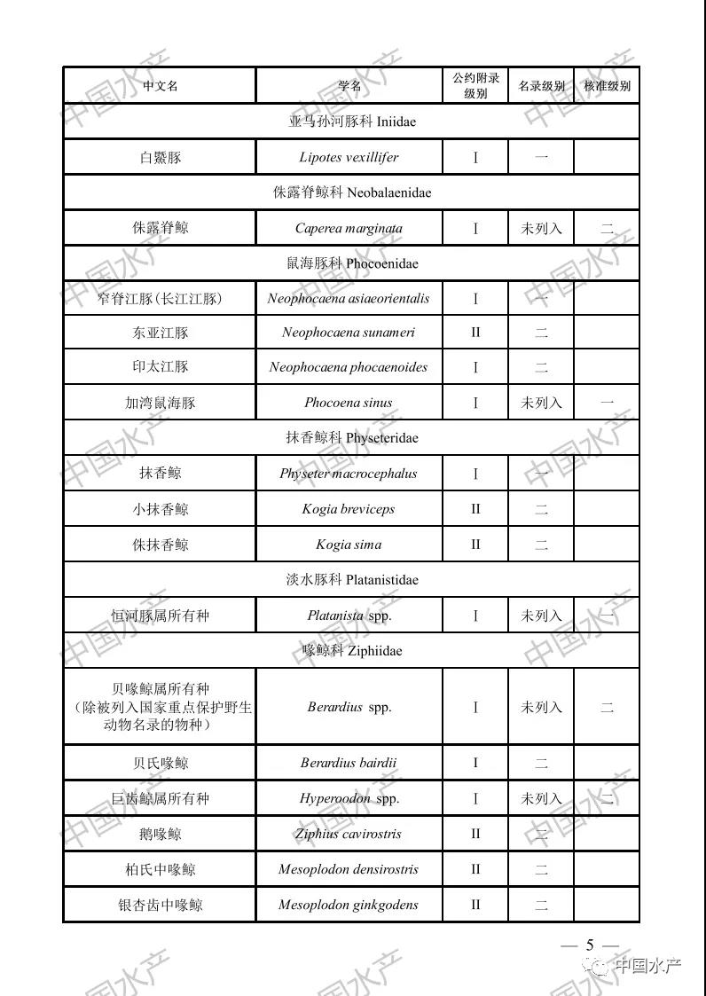 按此在新窗口瀏覽圖片