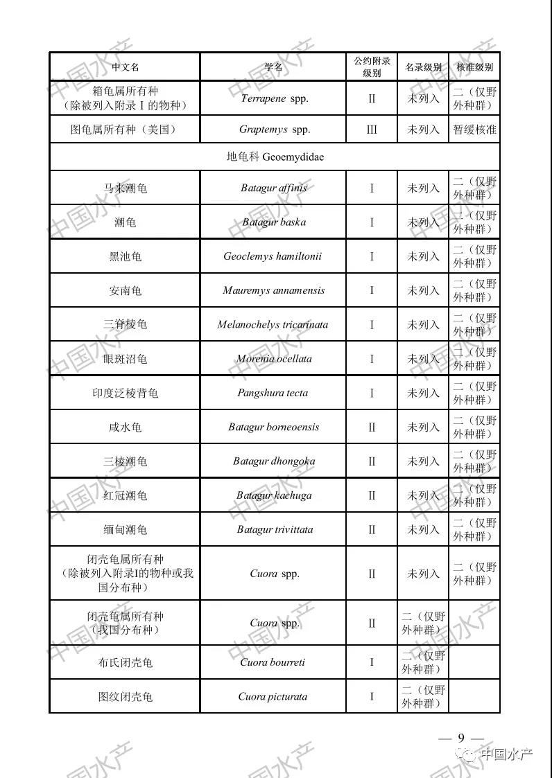 按此在新窗口瀏覽圖片