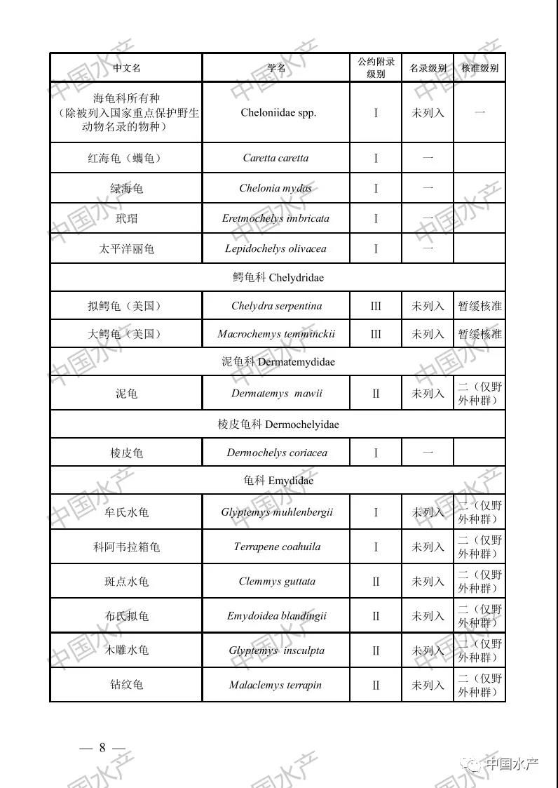 按此在新窗口瀏覽圖片