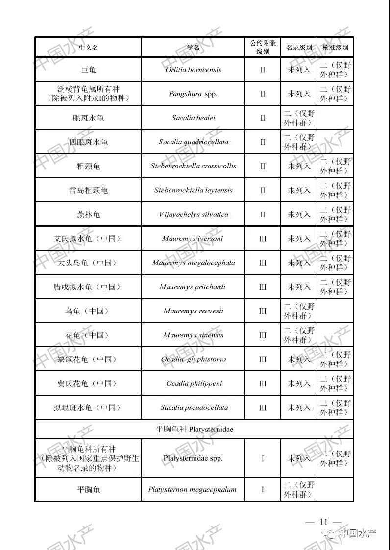 按此在新窗口瀏覽圖片