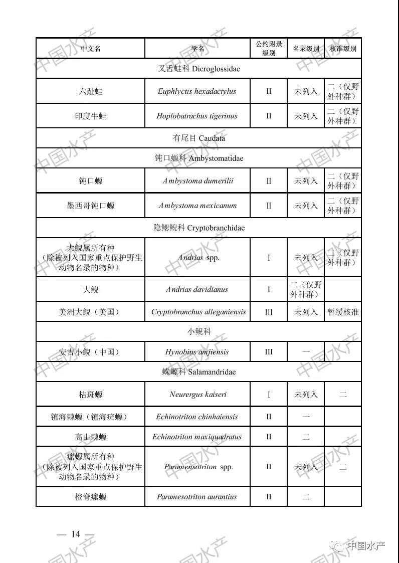 按此在新窗口瀏覽圖片