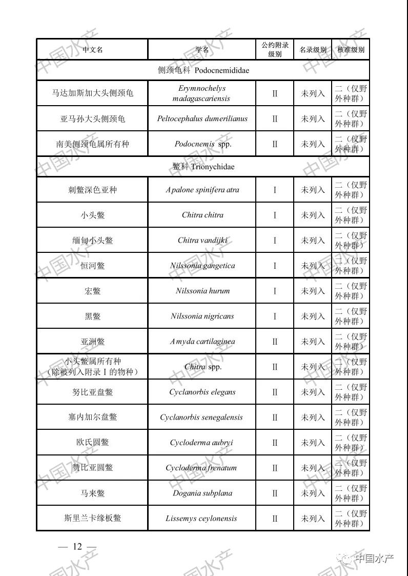 按此在新窗口瀏覽圖片